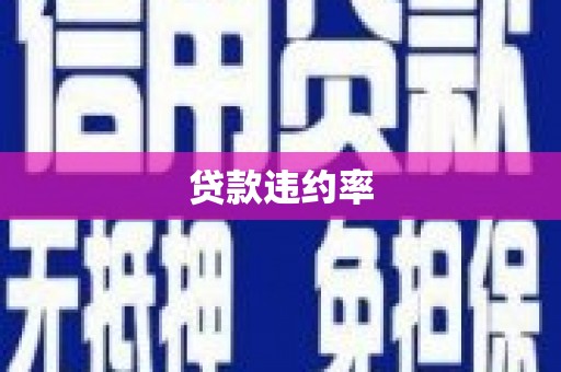 天心贷款违约率