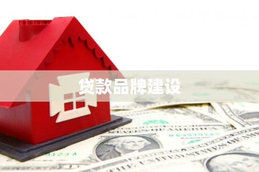 天心贷款品牌建设