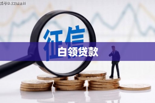 天心白领贷款