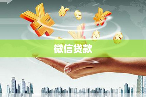 天心微信贷款