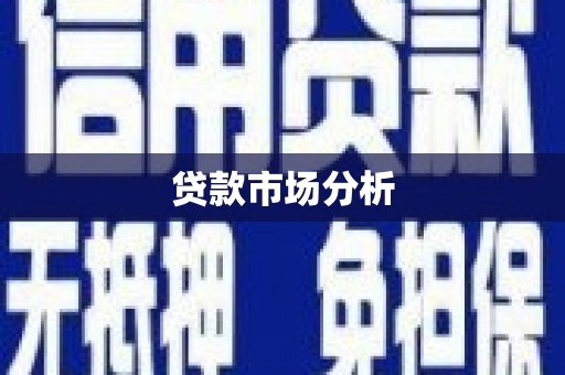 天心贷款市场分析