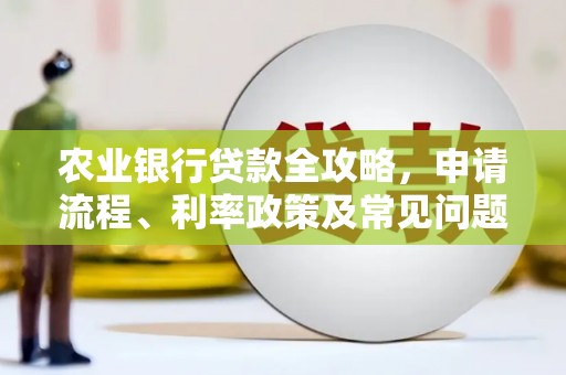 天心农业银行贷款全攻略，申请流程、利率政策及常见问题解析