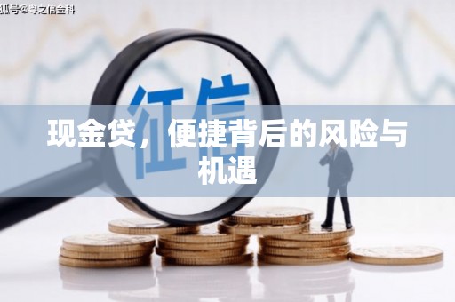 天心现金贷，便捷背后的风险与机遇