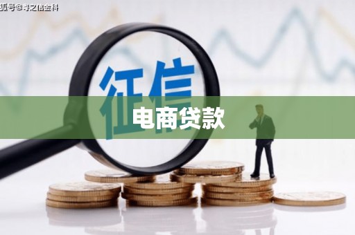 天心电商贷款