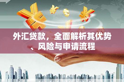 天心外汇贷款，全面解析其优势、风险与申请流程