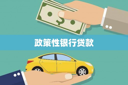 天心政策性银行贷款