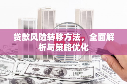 天心贷款风险转移方法，全面解析与策略优化