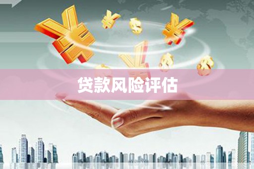 天心贷款风险评估