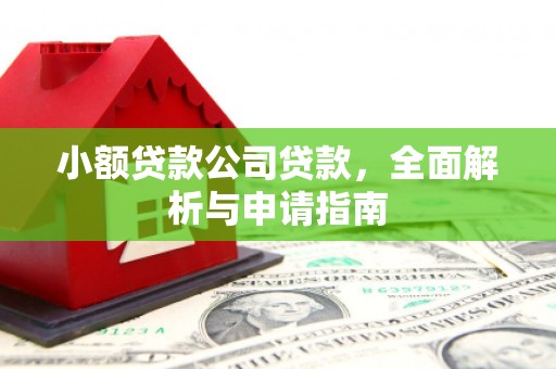 天心小额贷款公司贷款，全面解析与申请指南