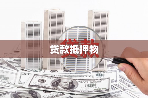 天心贷款抵押物