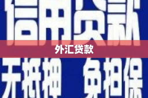 天心外汇贷款