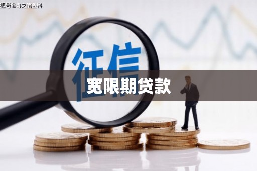 天心宽限期贷款