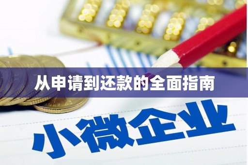 天心从申请到还款的全面指南