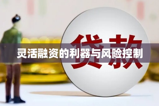 天心灵活融资的利器与风险控制