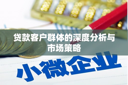 天心贷款客户群体的深度分析与市场策略