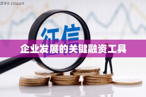 天心企业发展的关键融资工具