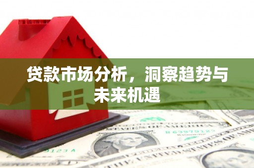 天心贷款市场分析，洞察趋势与未来机遇