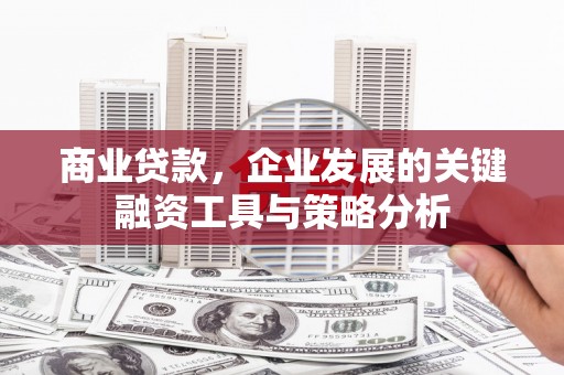 天心商业贷款，企业发展的关键融资工具与策略分析