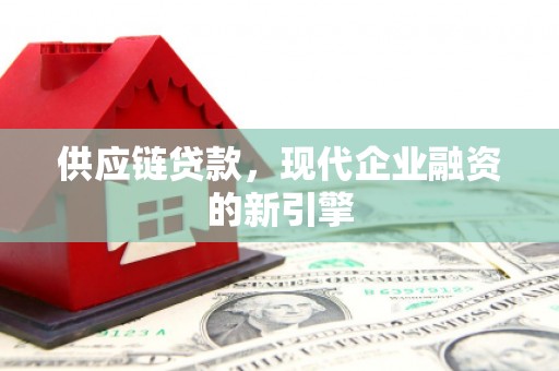 天心供应链贷款，现代企业融资的新引擎
