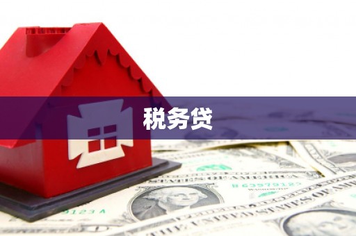 天心税务贷