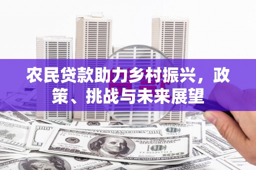 天心农民贷款助力乡村振兴，政策、挑战与未来展望