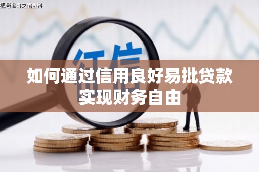 天心如何通过信用良好易批贷款实现财务自由