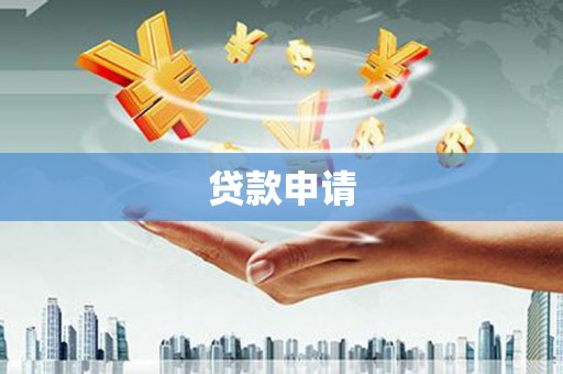 天心贷款申请