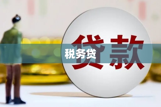 天心税务贷
