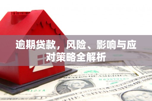 天心逾期贷款，风险、影响与应对策略全解析