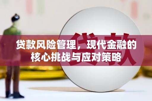 天心贷款风险管理，现代金融的核心挑战与应对策略