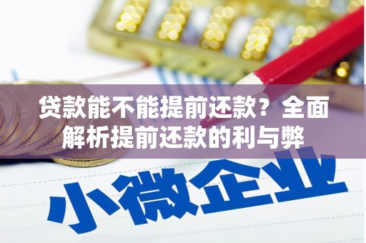 天心贷款能不能提前还款？全面解析提前还款的利与弊
