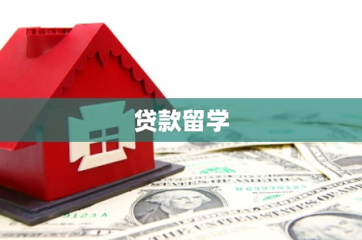 天心贷款留学