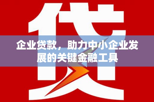天心企业贷款，助力中小企业发展的关键金融工具