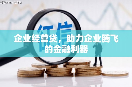 天心企业经营贷，助力企业腾飞的金融利器