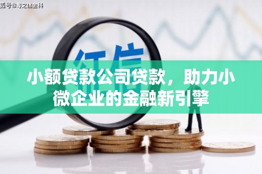 天心小额贷款公司贷款，助力小微企业的金融新引擎