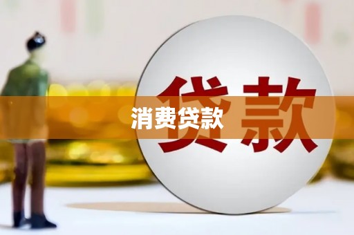 天心消费贷款