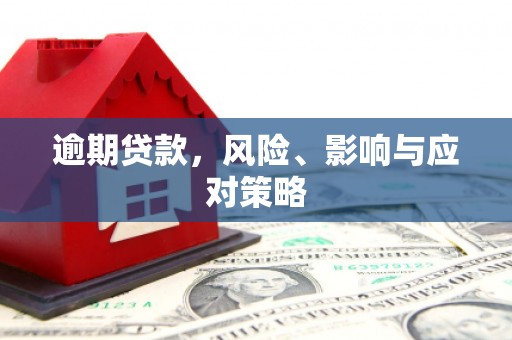 天心逾期贷款，风险、影响与应对策略