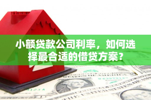 天心小额贷款公司利率，如何选择最合适的借贷方案？