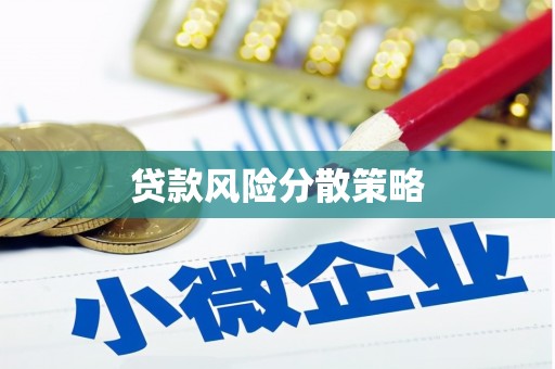 天心贷款风险分散策略