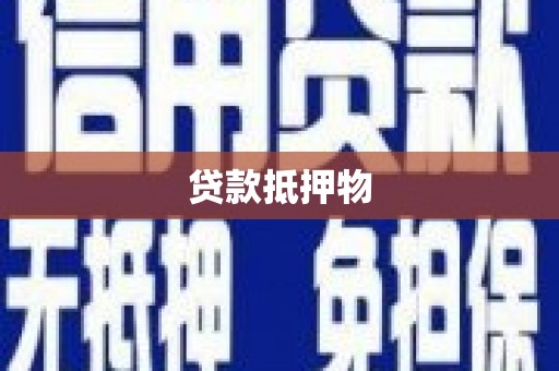 天心贷款抵押物
