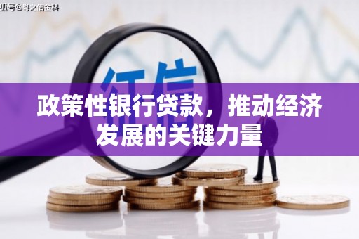 天心政策性银行贷款，推动经济发展的关键力量