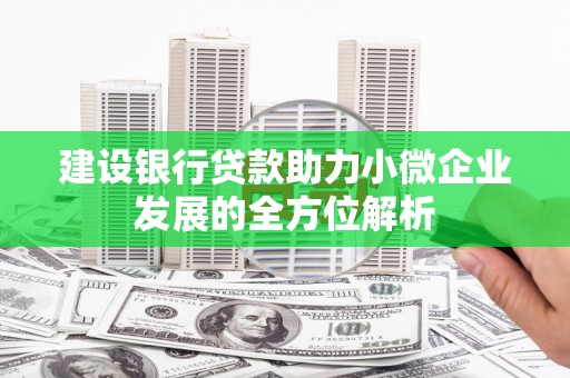 天心建设银行贷款助力小微企业发展的全方位解析