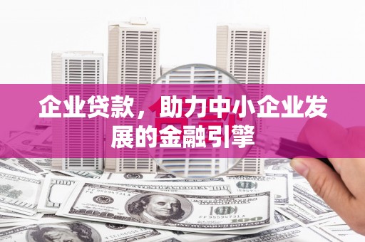 天心企业贷款，助力中小企业发展的金融引擎