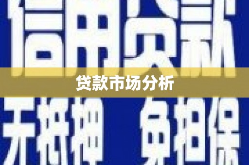 天心贷款市场分析