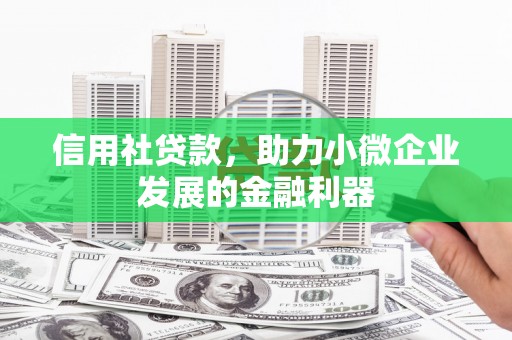 天心信用社贷款，助力小微企业发展的金融利器