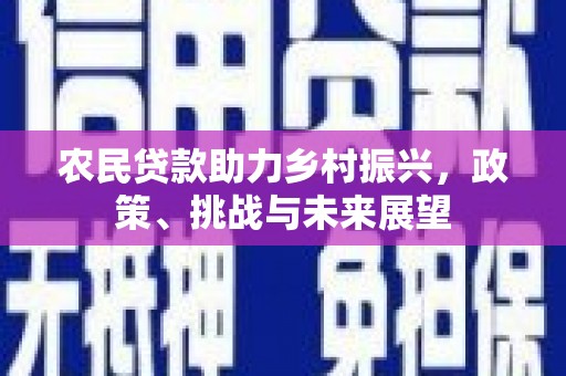 天心农民贷款助力乡村振兴，政策、挑战与未来展望