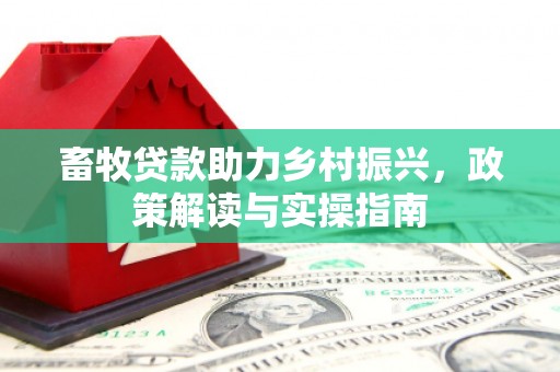 天心畜牧贷款助力乡村振兴，政策解读与实操指南