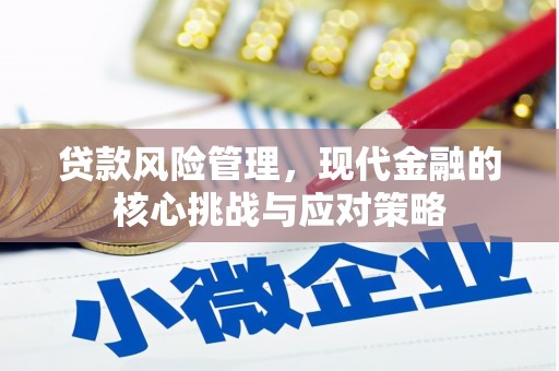 天心贷款风险管理，现代金融的核心挑战与应对策略