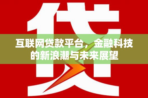 天心互联网贷款平台，金融科技的新浪潮与未来展望
