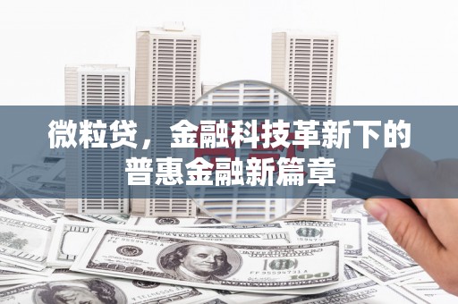 天心微粒贷，金融科技革新下的普惠金融新篇章